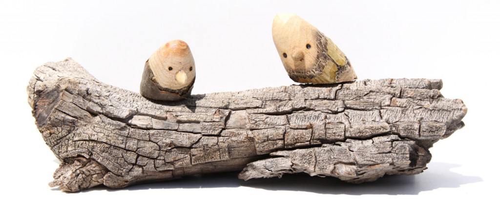 2-birds-checked-driftwood-mod-2 Two Birds Mounted on Checked Driftwood