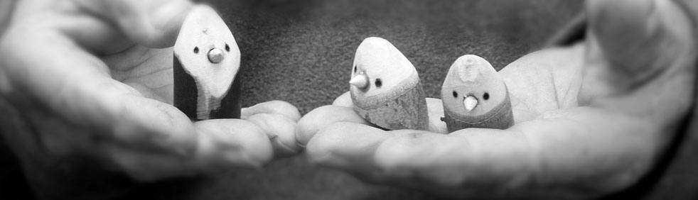 dad-holding-3-birds-horiz
